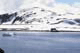 Halfmoon Island, Antarctica