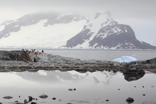 Petermann Island, Antarctica