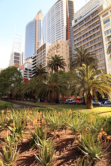 Macquarie Street, Sydney, Australia
