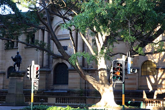 State Library, Sydney, Australia