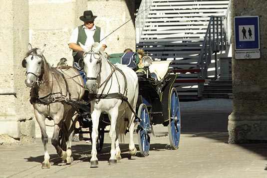 Horse Buggy, Salzburg, Austria