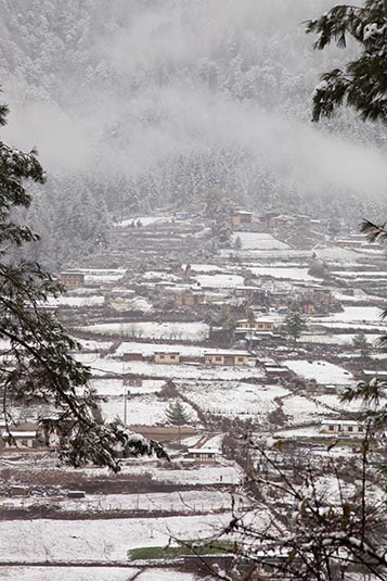 From Thimphu to Punakha, Bhutan
