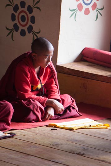 Monastery, Chimi Lhakhang, Bhutan