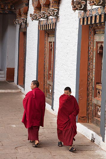 Monks, Punakha Dzong, Punakha, Bhutan