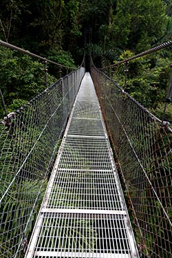 On the Trail, Arenal Hanging Bridges, Arenal, Costa Rica