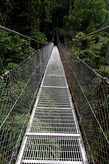 On the Trail, Arenal Hanging Bridges, Arenal, Costa Rica