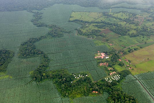 Aerial View, Tortuguero, Costa Rica