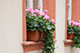 A Window, Hauptstrasse, Altstadt, Heidelberg, Germany