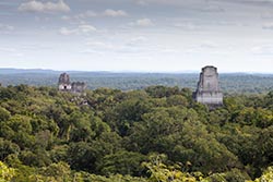 Overview, Tikal, Guatemala