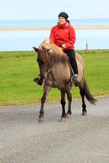 Horse Rider, Gerdi, Iceland