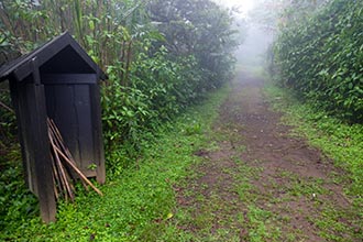 Along the Cloud Forest Trail, Costa Rica