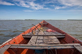 Chilika Lake, Satpada Section, Odisha, India