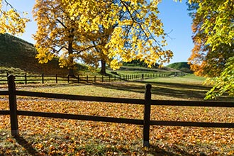 Gamla Uppsala, Sweden