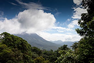 On the Trail, Arenal Hanging Bridges, Arenal, Costa Rica