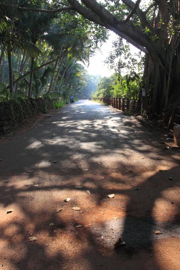 Interior Roads, Goa