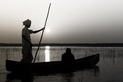 Boatman, Nal Sarovar, Gujarat, India