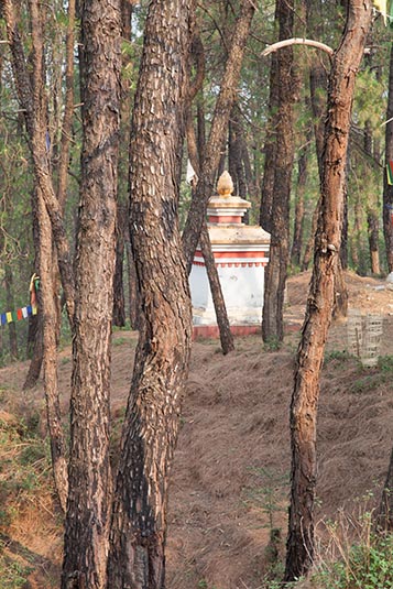 Stupa, Jiya Monastery, Dharamshala, Himachal Pradesh, India