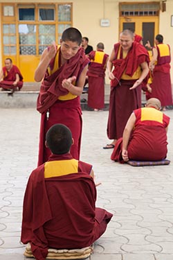 Monks Debating, Dalai Lama Temple, McLeod Ganj, Himachal Pradesh, India