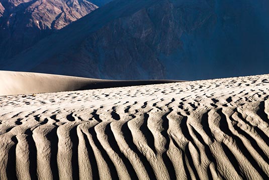 Nubra Sand Dunes, Ladakh, India