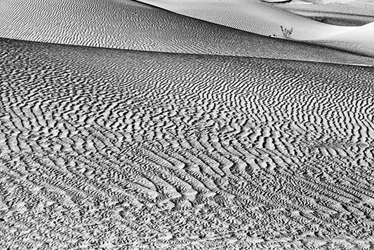 Nubra Sand Dunes, Ladakh, India
