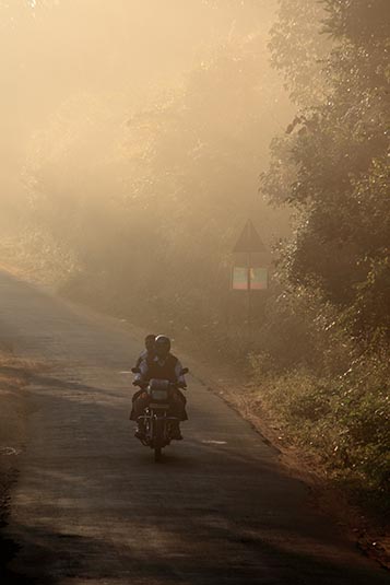 Early Morning, Coorg, Karnataka