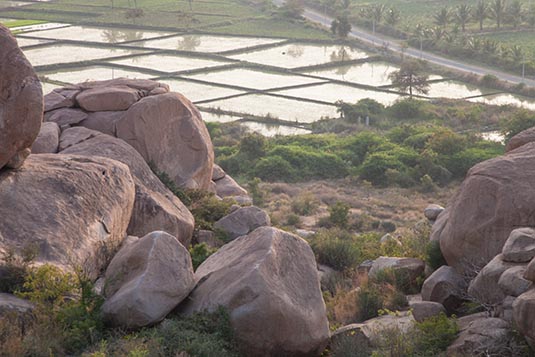 Rice Fields, as seen from Malyavanta Raghunatha Temple, Hampi, Karnataka, India