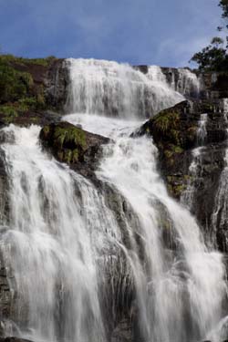 Periyakanal Waterfalls, Munnar, Kerala