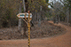 Signpost, Tadoba Andhari Tiger Reserve, Maharashtra, India