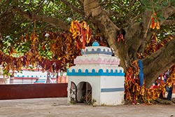 Ramchandi Temple, Near Konark, Odisha, India