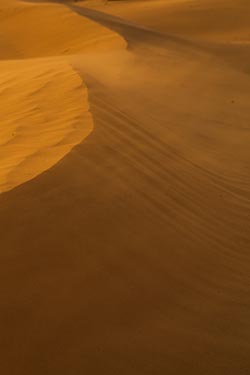 Sand Dunes, Sam, Rajasthan, India