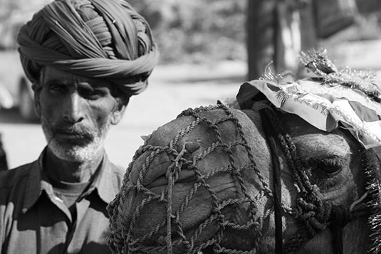 Camel Owner, Haldighati, Rajasthan, India