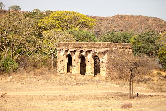Early Stables, Ranthambore National Park, Ranthambore, Rajasthan, India