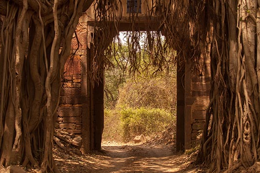 Gate, Ranthambore National Park, Ranthambore, Rajasthan, India