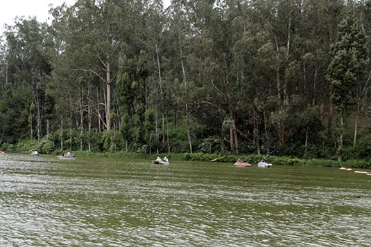 Ooty Lake, Ooty, Tamil Nadu, India