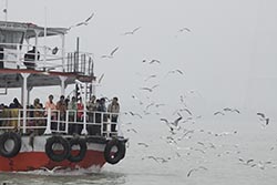 Ferry, Gangasagar, West Bengal, India