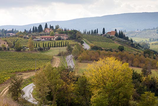 Rolling Hills, Tuscany Region, Italy