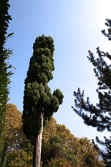 Botanical Garden, Villa Carlotta, Italy