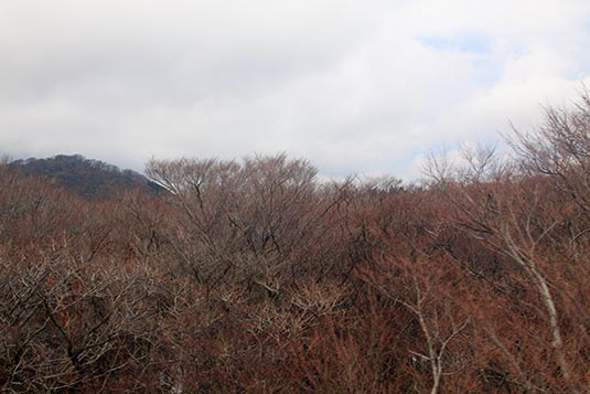 From the Hakone Ropeway, Sounzan, Hakone Area, Japan