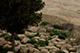 The Promised Land, Mount Nebo, Jordan