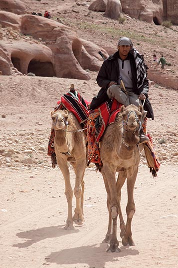 Camel Rides, Petra, Jordan