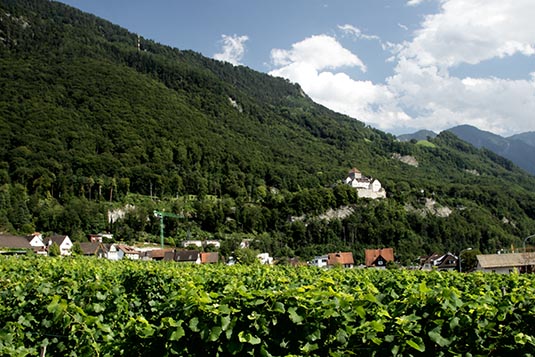Vineyard, Vaduz, Liechtenstein