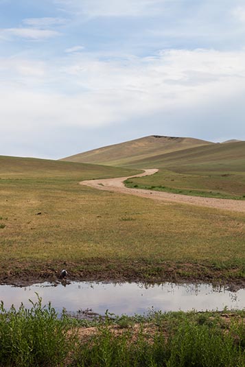Khustai National Park, Mongolia