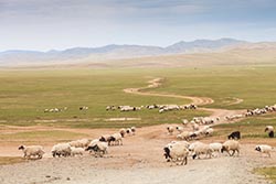 Towards Khustai National Park, Mongolia