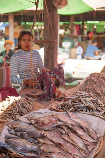 Morning Market, Nan Pan Village, Inle Lake, Inle, Myanmar