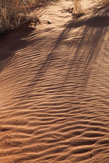 Dunes at Sunrise, NamibRand, Namibia