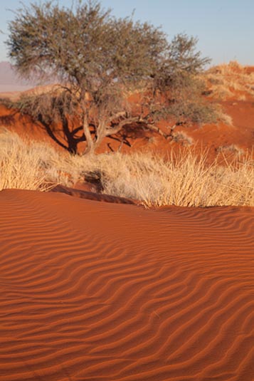 Dunes, NamibRand, Namibia