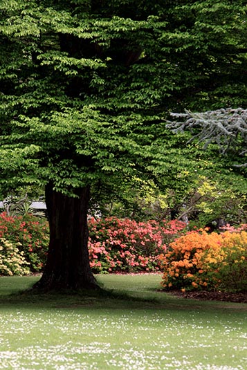Christchurch Botanic Gardens, Christchurch, New Zealand