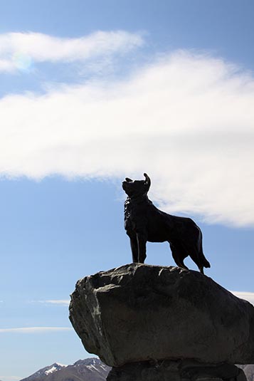 Statue of Coolie Dog, Lake Tekapo, New Zealand