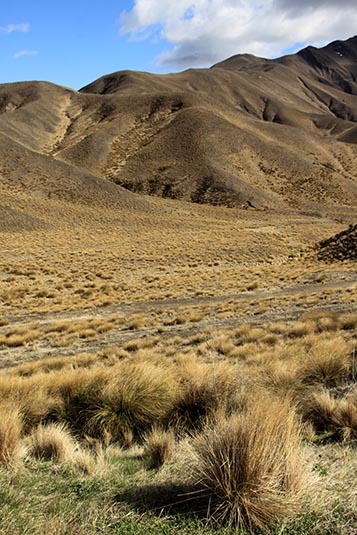 Changing Landscape, towards Mt. Cook, New Zealand