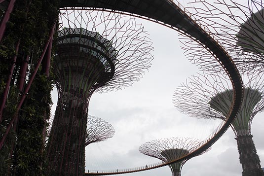 Supertrees and OCBC Skyway, Garden by the Bay, Singapore